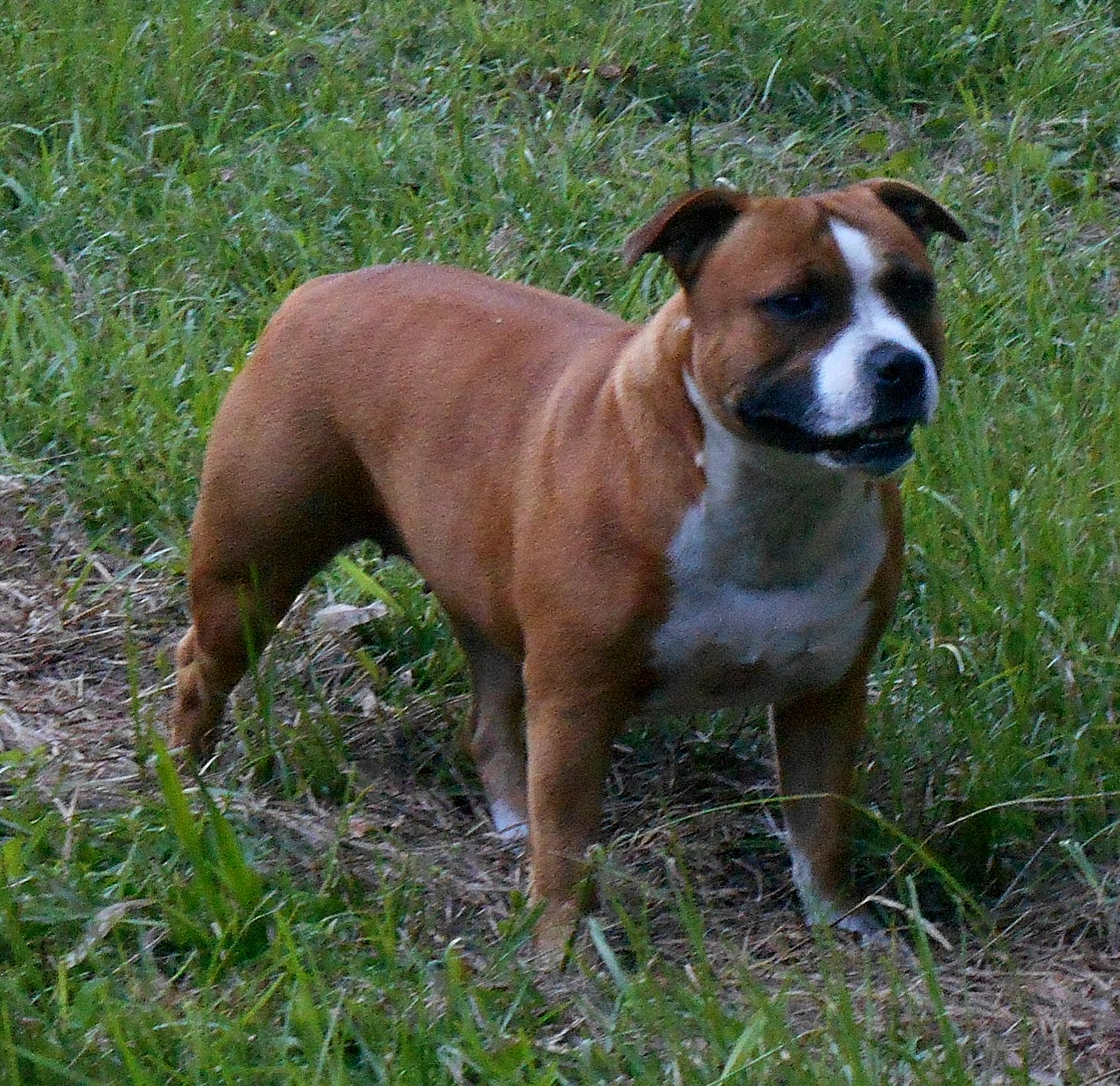 Retired - Rockstaffs